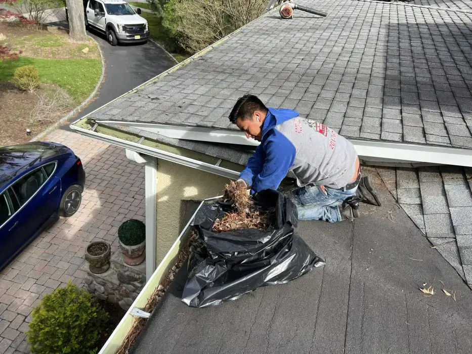 Gutter Cleaning & Gutter Repair Services